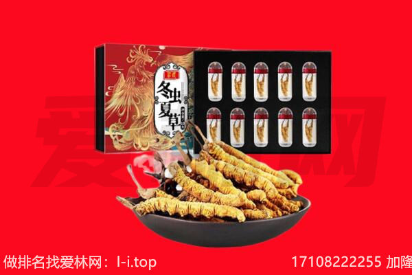 玛多县回收虫草.jpg